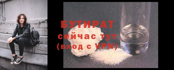 ECSTASY Богданович